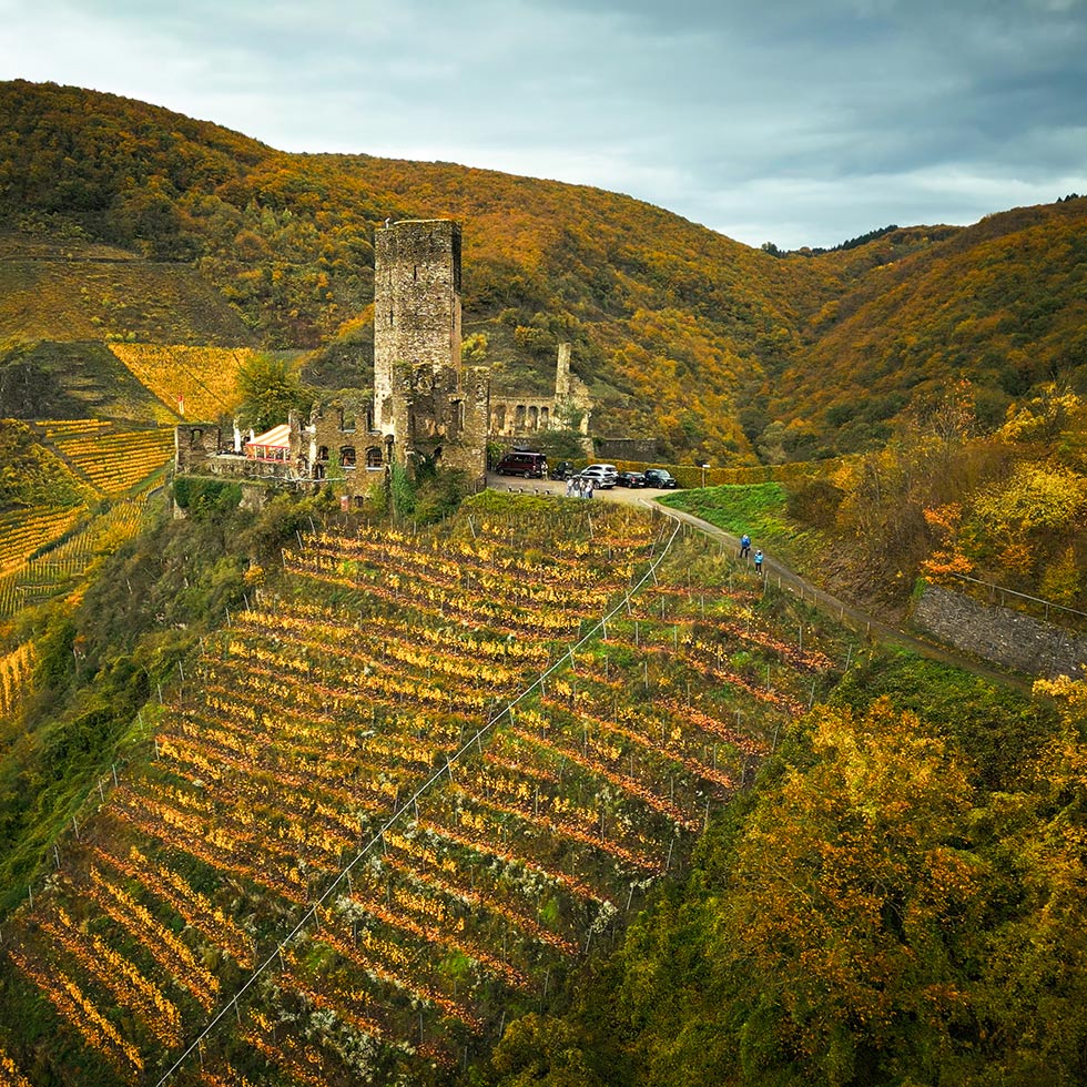 Weingut Otto Görgen