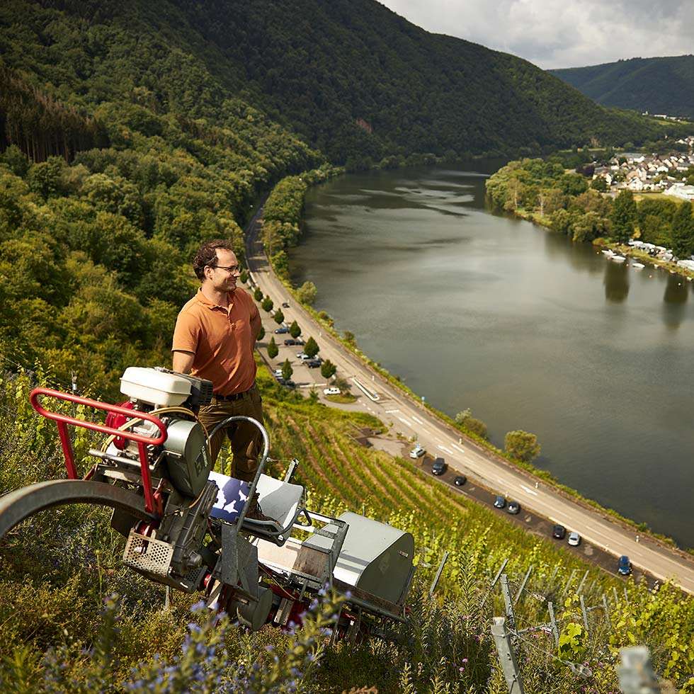 Weinlage Beilsteiner Schlossberg
